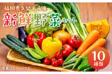 福岡県久留米市産 新鮮野菜セット_福岡県 久留米市産 新鮮野菜 セット 10品目 約10kg 旬の野菜 詰め合わせ 新鮮 季節 野菜 水菜 小松菜 ほうれん草 アスパラ キャベツ オクラ レイシ トマト 胡瓜 ニラ 玉葱 インゲン 茄子 春菊 ブロッコリー 大根 旬 料理 久留米市 冷蔵 お取り寄せ 送料無料_Gv025