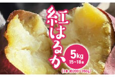 紅はるかさつまいも_さつまいも 紅はるか 国産 5kg 15本 ～ 18本 入 1本 約 200～350g 甘い 糖度 高い 高糖度 1ヶ月 熟成 濃厚 味わい しっとり ホクホク 常温発送 宇佐川農園 芋 焼き芋 福岡県 久留米市 お取り寄せ お取り寄せグルメ 野菜 送料無料_Gx035