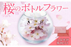 桜のボトルフラワー（久留米絣敷物付き）_ドライフラワー 桜 ボトルフラワー ソメイヨシノ 満開の桜のようにデザイン 久留米絣 敷物 ガラス容器 おしゃれ 花 インテリア 生花 ドライ加工 入学祝 卒業祝 合格祝 就職祝 旅立ち お祝い 記念 ギフト 贈り物 送料無料_Qb018
