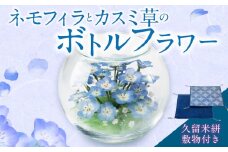 ネモフィラとカスミ草のボトルフラワー（久留米絣敷物付き）_ネモフィラ カスミ草 ボトルフラワー 幅 奥行 120mm 高さ 100mm 久留米絣 敷物 付き ドライフラワー ガラス 容器 青空 ブルー 満開 株 覆うくらいの花 清楚 お手入れ 簡単 人気 インテリア お祝い 記念 ギフト 贈り物 福岡県 久留米市 送料無料_Qb019