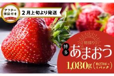 【2月上旬より順次発送】農家直送 朝採り新鮮いちご【博多あまおう】約270g×4パック_博多 あまおう 約270g × 4パック 朝採り 新鮮 いちご 農家直送 冷蔵 苺専用パッケージ 福岡県 久留米市 フルーツ 果物 生食 果実 青果 食品 甘い みずみずしい 果肉 果汁 スイーツ ジュース デザート タルト 贈り物 ギフト 送料無料_Fi053