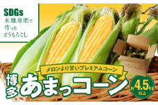 【ふくおかエコ農産物認証】農家直送！SDGs米糠堆肥で作った博多あまっコーン4.5キロ以上（10～15本）【2026年6月より順次出荷】_ふくおかエコ農産物 2026年6月より順次出荷 とうもろこし 博多あまっコーン 約 4.5kg 以上 10本 〜 15本 プレミアムコーン 粒が大きい 食べ応え 美味しい 糖度 野菜 お取り寄せ 福岡県 久留米市 送料無料_Gv035