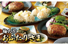 梅の花 おふたりさま_梅の花 2人分 惣菜 とうふしゅうまい かにしゅうまい 茶碗蒸し ミニ生麩 木の芽みそ 柚子みそ 豆腐 ハンバーグ 久留米ソース 冷凍 冷凍保存 おふたりさま 中華 和食 セット 自宅のストック お祝い ギフト 福岡 久留米市 お取り寄せ 送料無料_Cx227