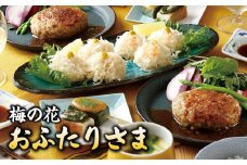 梅の花 おふたりさま_10/14以降 価格改定 梅の花 2人分 惣菜 とうふしゅうまい かにしゅうまい 茶碗蒸し ミニ生麩 木の芽みそ 柚子みそ 豆腐 ハンバーグ 久留米ソース 冷凍 冷凍保存 おふたりさま 中華 和食 セット 自宅のストック お祝い ギフト 福岡 久留米市 お取り寄せ 送料無料_Cx227