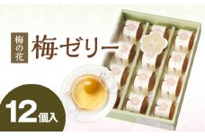 梅の花　梅ゼリー　12個入_梅ゼリー 95g × 12個 完熟 南高梅 まるごと 一粒 使用 優しい 甘さ 喉越し 爽やか とろける 食感 アレンジ シャーベット 梅酒ソーダ 梅 ゼリー おやつ デザート スイーツ フルーツゼリー 和菓子 贈答用 手土産 お取り寄せ グルメ 福岡県 久留米市 送料無料_Dw043