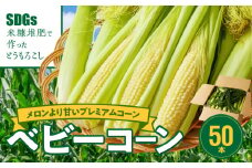 【ふくおかエコ農産物認証】農家直送！SDGs米糠堆肥で作ったベビーコーン50本【2026年5月より順次出荷】_ふくおかエコ農産物 2026年5月より順次出荷 農家直送 ベビーコーン とうもろこし 50本 メロンより 甘い プレミアムコーン シャキシャキ 食感 旬の味 八宝菜 サラダ 野菜 オーブン焼き レンチン お取り寄せ 酒見農産 福岡県 久留米市 送料無料_Gv036