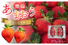 福岡県産【特別栽培】特選DX等級完熟あまおう　270g×2パック_福岡県産 特別栽培 特選 DX等級 完熟 あまおう 270g × 2パック 計 540g 自然の恵み 濃厚 大粒 ジューシー 朝採れ いちご 宙づり ハンモック構造 贈答用 フルーツ デザート お取り寄せ 福岡県 久留米市 送料無料_Fi057