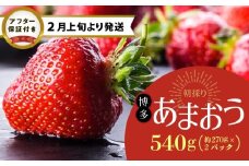 【2月上旬より順次発送】農家直送 朝採り新鮮いちご 【博多あまおう】約270g×2パック_いちご 博多 あまおう 農家直送 約 270g × 3パック 朝採り 新鮮 美味しい スムージー ジュース パンケーキ タルト 果物 フルーツ デザート おやつ スイーツ 食品 食べ物 お取り寄せ お取り寄せフルーツ 福岡県 久留米市 送料無料_Fi062