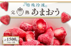 旬のおいしさそのまま！池田農園の特殊冷凍あまおう1.5kg_池田農園 特殊 冷凍 完熟 あまおう 1.5kg  糖度 酸度 バランス 旬 おいしさ そのまま アートロックフリーザー 急速冷凍 サクサク 食感 福岡エコ農産物認定 こだわり 管理 真空パック デザート 果物 いちご グルメ お取り寄せ 福岡県 久留米市 送料無料 _Fi213