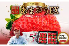 【2026年1月より順次発送】ギフト配送 約450g×2パック EX 福岡県産あまおう〈特別栽培〉_福岡県産 あまおう 約450g×2パック エコファーマー 土づくり 化学合成農薬 化学肥料 低減 特別栽培 ギフト配送 希少価値 EX イチゴ フルーツ デザート 甘い 果汁 贈り物 果物 お取り寄せ 福岡県 久留米市 冷蔵発送 送料無料_Fi063