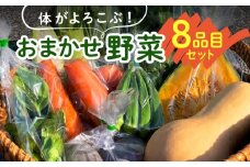 体がよろこぶ！おまかせ野菜8品目セット_体がよろこぶ 野菜 8品目 セット おまかせ 食べ頃 旬 品種 詰め合せ 新鮮 冷蔵発送 ヤングコーン ピーマン キュウリ オクラ ナス 白ナス ミニトマト かぼちゃ 人参 パクチー ケール 黒キャベツ ブロッコリー お取り寄せ 福岡県 久留米市 送料無料_Gv039