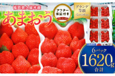 いちごの王様！【あまおうグランデサイズ】3玉～15玉（6パック）1月から発送_いちごの王様 あまおう グランデサイズ 3玉 ～ 15玉 6 パック 1月から発送 酸味 甘味 完熟 果物 フルーツ いちご よっちゃんファーム 福岡県 久留米市 お取り寄せ お取り寄せグルメ 送料無料_Fi065