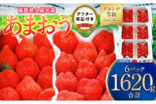 いちごの王様！【あまおうグランデサイズ】3玉～15玉（6パック）1月から発送_いちごの王様 あまおう グランデサイズ 3玉 ～ 15玉 6 パック 1月から発送 酸味 甘味 完熟 果物 フルーツ いちご よっちゃんファーム 福岡県 久留米市 お取り寄せ お取り寄せグルメ 送料無料_Fi065