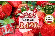 【定期便 3回】うるう農園の特別栽培あまおう サイズ色々4パック1140g×3回 _定期便 あまおう いちご 4パック 1140g × 3回 福岡県特産 小玉 特大 サイズ サイズ色々 国産 ストロべリー 果物 フルーツ スイーツ おやつ 冷蔵 特別栽培 有機質肥料 認証 うるう農園 久留米市 お取り寄せ 送料無料_Tk006