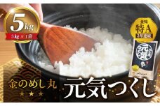 金のめし丸元気つくし 5kg（1袋）_金のめし丸元気つくし 5kg 国産 白米 お米 元気つくし 金のめし丸 県産米 つや 粘り 冷めてもおいしい 安定した食味 精米 安心 おにぎり 食品 常温 森光商店 九州 福岡県 久留米市 お取り寄せ 送料無料_Gr045
