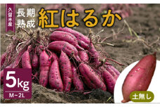 福岡県久留米市産　長期熟成紅はるか 5kg　M～2L　土なし_さつまいも 久留米市産 長期熟成 紅はるか 5kg M ～ 2L サイズ 土無し 栽培期間中農薬不使用 熟成 甘い 美味しい おやつ スイーツ 保存 さつまいもご飯 サラダ 常温発送 国産 九州 福岡県 久留米市 お取り寄せ お取り寄せグルメ 送料無料_Gx037