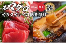 国産本マグロとカラスガレイの幽庵漬け詰め合わせ 3種セット_国産本マグロ カラスガレイ 幽庵漬け 詰め合わせ 3種セット 海鮮 海産物 本マグロ 赤身柵 中トロ 真空パック マイナス60℃ 液体冷凍 ヨシマサ 久留米惣吉 福岡県 久留米市 お取り寄せ お取り寄せグルメ 送料無料_Cs335