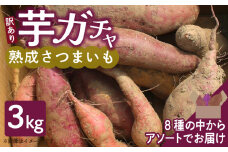 芋ガチャ訳あり 熟成さつまいも3kg_【訳あり】久留米市産 さつまいも 3kg 芋 ガチャ 栽培期間中農薬不使用 熟成 甘い 美味しい おやつ スイーツ バラエティ 紅はるか シルクスイート 国産 常温発送 国産 九州 福岡県 久留米市 お取り寄せ お取り寄せグルメ 送料無料_Gx052