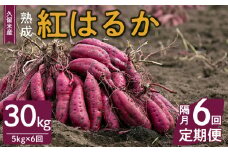 【福岡県久留米市産】熟成さつまいも（紅はるか）5kg ＜定期便－2ヶ月毎に6回お届け＞_Tk011