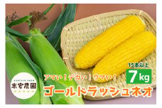 朝採れを直送！スイートコーン【ゴールドラッシュネオ】7kg（15本以上）_とうもろこし 7kg 15本以上 朝採れ スイートコーン 農家直送 ゴールドラッシュネオ 甘い 1年のうちの1ヶ月しか味わえない まるでフルーツ Sueyasu farm 新鮮 粒皮がやわらかい 焼きとうもろこし コーン 末安農園 福岡県 久留米市 お取り寄せ 野菜 送料無料_Gv013