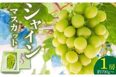 シャインマスカット（1房：約700g～）_先行予約 シャインマスカット 1房 約 700g ～  酸味 甘み 美味しい 皮 薄い 食べやすい 冷蔵 フルーツ 果物 ぶどう シャイン マスカット 国産 おやつ デザート お取り寄せ お取り寄せフルーツ 福岡県 久留米市 送料無料_Fg008