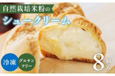 自然栽培 米粉のシュークリーム プレーン8個セット_自然栽培 米粉のシュークリーム プレーン8個セット_Dw058