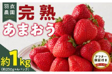【2026年1月中旬より順次発送】福岡県産 羽衣農園の完熟あまおう 約1kg（約250g×4パック） _【先行予約】 【2026年1月中旬より順次発送】 福岡県産 完熟 あまおう 約250g × 4パック 計 約1kg こだわり いちご 福岡県 ブランド いちご 家族 シェア フルーツ 果物 果実 パンケーキ フルーツサンド お取り寄せフルーツ 福岡県 久留米市 送料無料_Fi214