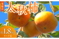 【10月より順次発送】池尻農園 太秋柿 秀優品 5～7玉 約1.8kg_池尻農園 太秋柿 秀優品 5 ～ 7玉 約 1.8kg 柿 10月 最盛期 完全甘柿 早生品種 大玉 甘み 強い シャキシャキ 食感 条紋 美味しさ 際立つ 種 少ない 食べやすい 人気 国産 九州産 フルーツ 果物 お取り寄せ 福岡県 久留米市 送料無料_Fk013