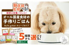 ペットフード 無添加ドッグフード・ブルズごはんCUBEタイプ 300g×2袋(馬・豚・鹿・鶏・魚の中から2つ)_CUBE型 20個入×2袋 無添加ドッグフード 1袋300g(馬肉・豚肉・鹿肉・鶏肉・魚の中から2つ) 国産 手作り アレルギー ウェット 子犬 シニア犬 冷凍 ヒューマングレード 老犬 小型犬 お試し 選べる ペットフード ブルズごはん_Pf002