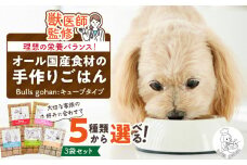 ペットフード　無添加ドッグフード・ブルズごはんCUBEタイプ　300g×3袋(馬・豚・鹿・鶏・魚の中から3つ)_CUBE型 20個入×3袋 無添加ドッグフード 1袋300g(馬肉・豚肉・鹿肉・鶏肉・魚の中から3つ) 国産 手作り アレルギー ウェット 子犬 シニア犬 冷凍 ヒューマングレード 老犬 小型犬 お試し 選べる ペットフード ブルズごはん_Pf003