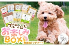 ペットフード 無添加ドッグフード・ブルズごはんお楽しみBOX_無添加ドッグフード 詰合せセット ブルズごはんお楽しみBOX CUBE型 5袋×300g 20個入 馬肉 豚肉 鹿肉 鶏肉 魚 各1袋 鹿テリーヌ 80g 3P ボーンブロススープ 300g 2P 各20個 国産 手作り アレルギー ウェット 子犬 シニア犬 冷凍 ヒューマングレード 老犬 小型犬 お試し ペットフード_Pf009
