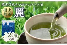 原田茶園　　極上煎茶　麗 120g（60g×2）_農林水産大臣賞受賞 極上煎茶 麗 60g × 2袋 計120g 八女茶 濃厚 旨み 甘味 まろやか コク こだわり カテキン 抗酸化作用 リラックス効果 疲労回復効果 かぶせ煎茶 お茶 煎茶 日本茶 緑茶 茶 お取り寄せ ご当地茶 福岡県 久留米市 送料無料_Ex222