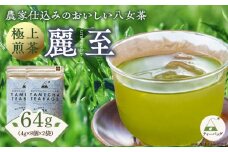 原田茶園　　極上煎茶ティーバッグ　麗至64g　(4g×8)×2袋_農林水産大臣賞受賞 極上煎茶 ティーバッグ 麗至 32g × 2袋 計64g 八女茶 濃厚 旨み 甘味 まろやか コク こだわり カテキン 抗酸化作用 リラックス効果 疲労回復効果 お茶 煎茶 日本茶 緑茶 茶 お取り寄せ ご当地茶 福岡県 久留米市 送料無料_Ex223