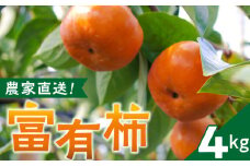 農園直送！富有柿_農園直送 富有柿 約 4kg 田主丸地域 旬 柿 田主丸町観光柿部会 農園 直送 国産 九州産 田主丸町産 秋の味覚 フルーツ 果物 旬のフルーツ デザート 食品 食べ物 常温 お取り寄せ お取り寄せフルーツ 福岡県産 久留米市 送料無料_Fk007