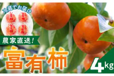 農園直送！富有柿（冷蔵）_農園直送 富有柿 約 4kg 田主丸地域 旬 柿 田主丸町観光柿部会 農園 直送 国産 九州産 田主丸町産 秋の味覚 フルーツ 果物 旬のフルーツ デザート 食品 食べ物 冷蔵 お取り寄せ お取り寄せフルーツ 福岡県産 久留米市 送料無料_Fk105