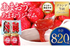 いちご満喫 あまおう2パック&あまおうジャム２瓶のセット 1月から発送_約270g×2パック 約140g×2瓶 土耕栽培 本格ジャム よっちゃんファーム あまおう あまおうジャム グランデ 大粒 久留米市 グルメ お取り寄せ 送料無料_Ca041