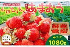 訳あり いちごの王様！【あまおう小粒もりもり】（４パック）１月から発送_小粒 訳あり 苺 S～Lサイズ スイーツ 果物 デザート あまおう アフター保証 ブランドいちご 贈答 家庭用 冷蔵 直送 久留米市 グルメ お取り寄せ 送料無料_Fi069