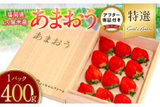 特選あまおう 約400g 12月から発送_あまおう 特選 約 400g 9～12玉 予約 完熟 贈答用 いちごの王様 ブランドいちご 化粧箱入り 土耕栽培 朝一番収穫 即日発送 お取り寄せ 福岡県 久留米市 送料無料_Fi070