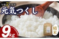 【先行受付】元気つくし（精米）9kg【令和7年度産米】_先行受付 米 元気つくし 精米 9kg 令和7年度産 受注後 鮮度抜群 新鮮 福岡生まれ 風味豊か 旨み 粒立ちしっかり 冷めても美味しい 白米 ご飯 お米 弁当 おにぎり 白ご飯 福岡県産 お取り寄せ 福岡県 久留米市 送料無料_Gr049
