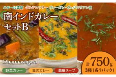 ダルマサーガラ　南インドカレーセットB_南インドカレー セット 3種 各1パック 計750g カレー ダルマサーガラ 野菜カレー 豆のカレー 薬膳スープ 中辛 野菜 豆 ムングダル 薬膳 酸味 スープ 本場 インドカレー 食品 南インド料理の専門店 冷凍 お取り寄せ 福岡県 久留米市 送料無料_	Ca037