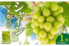 シャインマスカット（1房：約1000g～）_先行予約！ シャインマスカット 1房 約1000g 酸味 甘み 美味しい 皮 薄い 食べやすい 冷蔵 フルーツ 果物 ぶどう シャイン マスカット 国産 おやつ デザート お取り寄せ お取り寄せグルメ 福岡県 久留米市 送料無料_Fg010