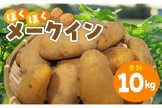 メークイン 10kg_ほくほく 柔らか 煮くずれ しにくい レシピ 肉じゃが クリームシチュー シチュー カレー ポテトサラダ ポテサラ コロッケ じゃがバター マッシュポテト フライド ポテト 春じゃがいも じゃがいも 芋 野菜 福岡県 久留米市 送料無料_Gv048