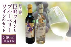 【バリはやッ！ZIPにて紹介されました】田主丸町巨峰ワインとブルーベリーワインのセット_田主丸町 巨峰 ワイン ブルーベリーワイン 各 360ml × 1本 計 2本 セット 巨峰葡萄酒ドライ 果汁 辛口 すっきり 軽やか 口当たり ブルーベリー 甘口 濃厚 バランス 飲み比べ お取り寄せ 福岡県 久留米市 送料無料_Ew012