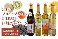 【バリはやッ！ZIPにて紹介されました】三種のフルーツワインと自社栽培の巨峰の白ワインのセット_福岡県産 フルーツワイン 三種 500ml × 3本 シングルヴァンヤード 2024 新酒 巨峰 白ワイン 720ml × 1本 セット キウイ 柿 甘夏 フルーツ ワイン フルーティー お酒 酒 飲み比べ 常温 福岡 久留米市 送料無料_Ew015