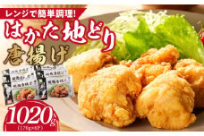 はかた地どり　から揚げ1020g_Ax128