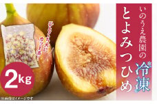いのうえ農園の冷凍とよみつひめ2kg_Fx014