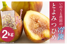 いのうえ農園の冷凍とよみつひめ2kg_Fx014