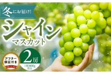 【2025年11月よりお届け】冬にお届け！シャインマスカット×2房_冬にお届け！ シャインマスカット 400g以上 × 2房 冷蔵技術 冬でも美味しい 贈答用 おすすめ 国産 ぶどう マスカット 果物 フルーツ 果実 食品 食べ物 おやつ デザート グルメ お取り寄せ お取り寄せグルメ 福岡県 久留米市 送料無料_Fg011