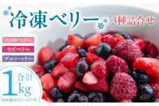 冷凍ベリー3種詰合せ（ストロベリー500g・ラズベリー250g・ブルーベリー250g）_冷凍 ベリー 3種 詰め合わせ ストロベリー 500g ラズベリー ブルーベリー 各250g 新鮮 ジャム お菓子作り おすすめ 使い方 いろいろ 果物 フルーツ 果実 食品 デザート グルメ お取り寄せ お取り寄せグルメ 福岡県 久留米市 送料無料_Fx017