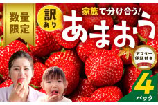 【数量限定】【訳あり】ファミリー向け あまおう約270g×4パック_あまおう 270g 4パック 国産 福岡県産 ブランドいちご アフター保証 食べ方いろいろ 甘い 果物 フルーツ ストロベリー 苺 エコファーマー認定農家 お取り寄せ スイーツ デザート 家庭用 福岡県 久留米市 送料無料_Fi072